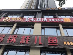 -先机®·泉水鸡汤(七星岗店)