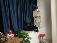 -佰推·肩颈腰·推拿理疗(湾悦城店)