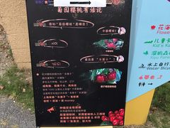 -菊园百果园