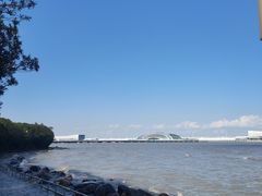 -上海吴淞炮台湾国家湿地公园