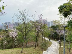 -聚龙山公园