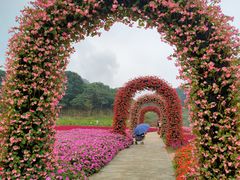 -广州市石门国家森林公园