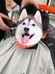 -东方麒麟·潘多拉SALON