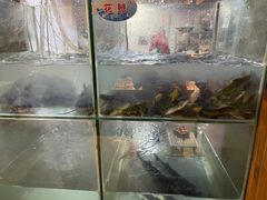 -蛙鱼道美蛙鱼自助火锅(新耍都店)