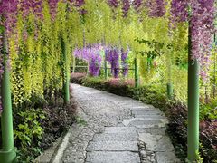 -荔江湾景区