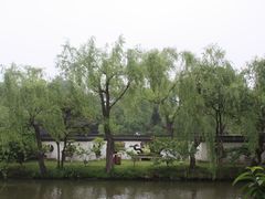 -盆景园(扬州大运河文化旅游度假区)