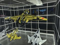 -泰达航母主题公园