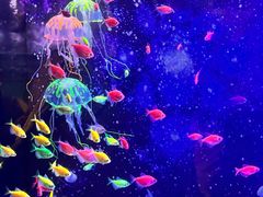 -常州海昌海洋探索馆