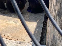 -昆明动物园