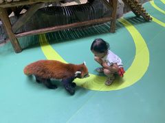 -海合安成都极地海洋公园