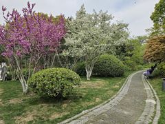 -红梅公园