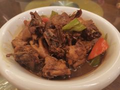 红烧走地山鸡-三林民间传菜