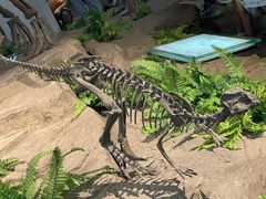 -自贡恐龙博物馆