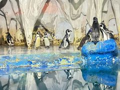 -太平洋海底世界