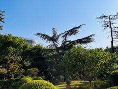 -莲花池公园