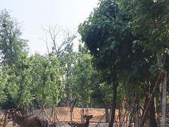 -秦皇岛野生动物园