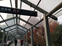 -杭州市第三人民医院