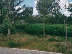 -通辽森林公园