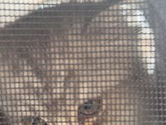 -艾贝尔宠物医院·24H转诊中心·肿瘤猫专科(江宁双龙店)