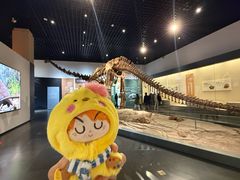 -衢州市博物馆