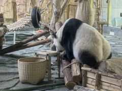 -泉州海丝野生动物世界