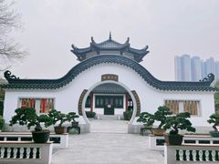 -广东花都湖国家湿地公园
