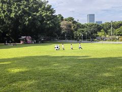 -东莞植物园