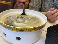 养颜白汁河豚-肆月河豚·新淮扬(金融街店)