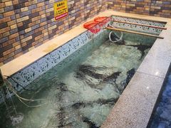 -荣德灶台鱼(圣泉寺店)