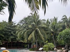 -海南清水湾莱佛士酒店