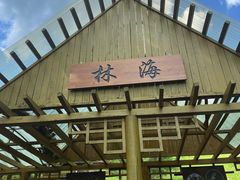 -莫尔道嘎国家森林公园