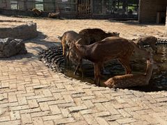 -武汉紫薇都市田园