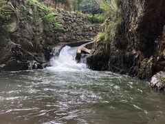 -将军关探险漂流