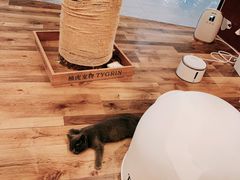 -袖虎·猫馆(体育西路店)