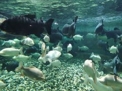 -成都浩海立方海洋公园