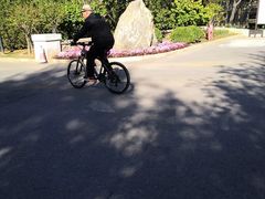 -永定河休闲森林公园