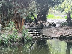 -成都市活水公园