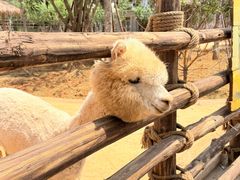 -福州罗源湾海洋世界旅游区