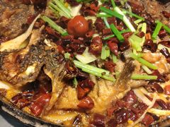 -老板恋上鱼(恒隆广场店)