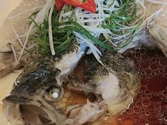-海天楼(天津泛太平洋店)