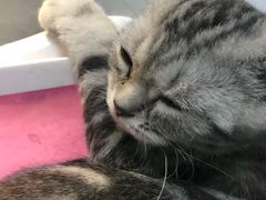 -乐宠宠物店(世纪金源店)