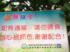 -上海市黄浦区卢湾第一中心小学