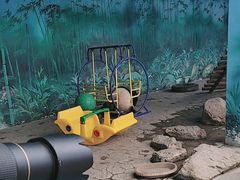 -沈阳森林动物园