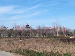 -水西公园