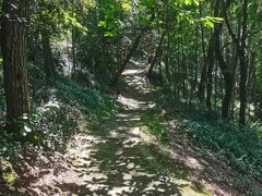 -上海佘山国家森林公园天马山园