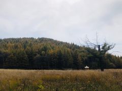 -驼梁风景区