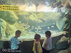 -苏州海洋馆