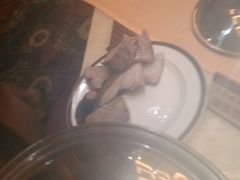 -舜耕山庄四时万和自助餐厅