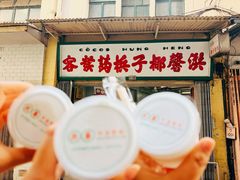 -洪馨椰子