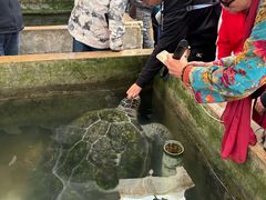 -硇洲岛旅游区